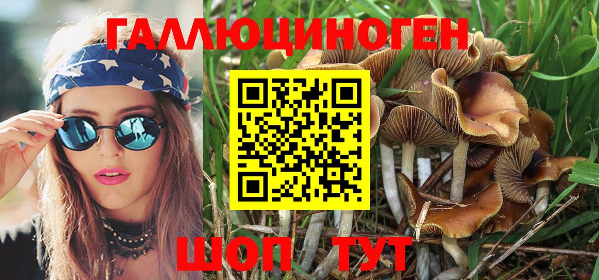 Галлюциногенные грибы Psilocybe  Галлюциногенные грибы Psilocybine cubensis  Красногорск  где найти наркотики  Вход с VPN 